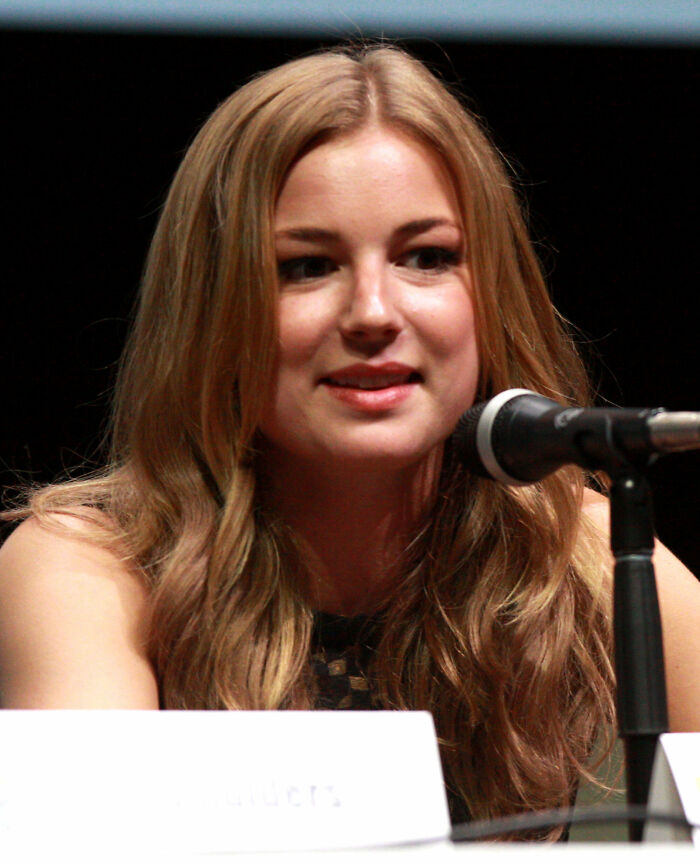 Emily VanCamp: Bio And Career Highlights