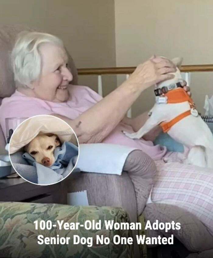 28 Emotional Animal Rescue Stories Shared By This Page That Might Restore Your Faith In Humanity