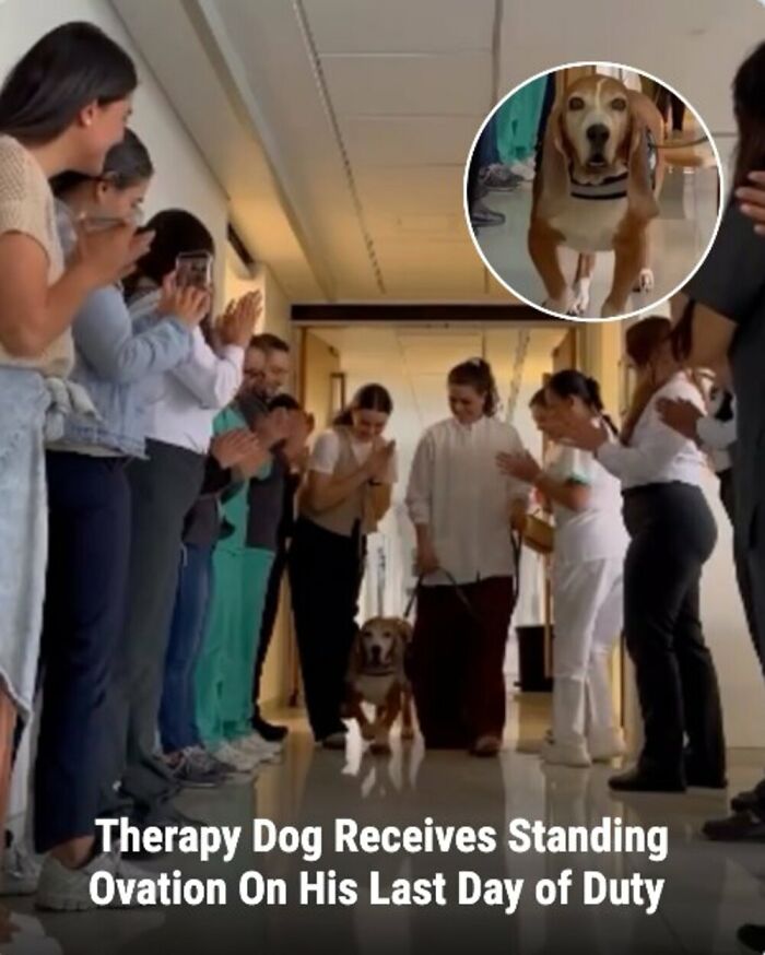 28 Emotional Animal Rescue Stories Shared By This Page That Might Restore Your Faith In Humanity