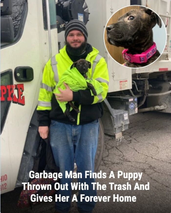 28 Emotional Animal Rescue Stories Shared By This Page That Might Restore Your Faith In Humanity