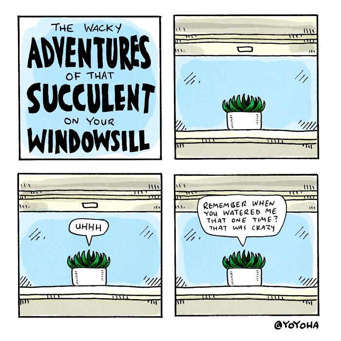 31 Satirical Comics About Everyday Incidents By Yoyoha (New Pics)