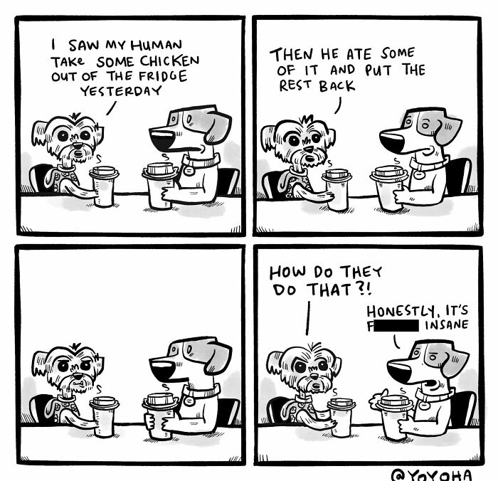 31 Satirical Comics About Everyday Incidents By Yoyoha (New Pics)