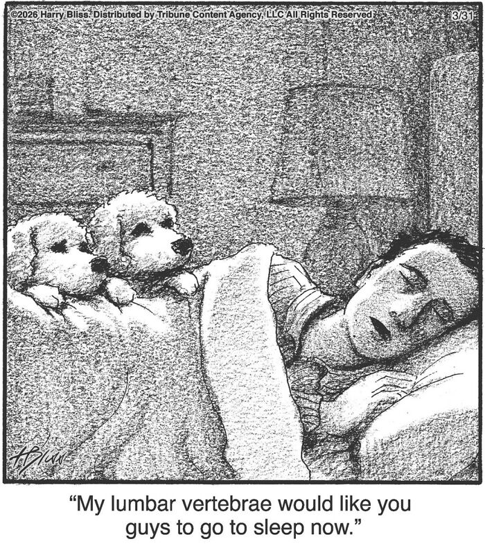 This New Yorker Cartoonist Creates Wholesome And Humorous One-Panel Dog Comics (40 Pics) This New Yorker Cartoonist Creates Wholesome And Humorous One-Panel Dog Comics (40 Pics)