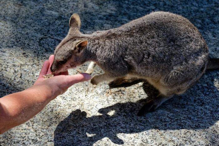 35 Annoying Things Tourists Keep Doing Abroad That Locals Simply Can’t Stand 35 Annoying Things Tourists Keep Doing Abroad That Locals Simply Can’t Stand