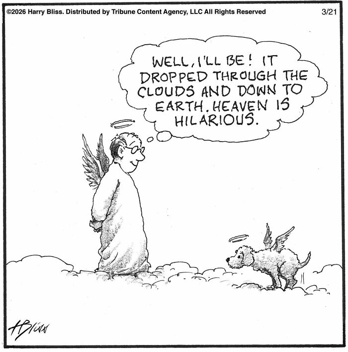 This New Yorker Cartoonist Creates Wholesome And Humorous One-Panel Dog Comics (40 Pics) This New Yorker Cartoonist Creates Wholesome And Humorous One-Panel Dog Comics (40 Pics)
