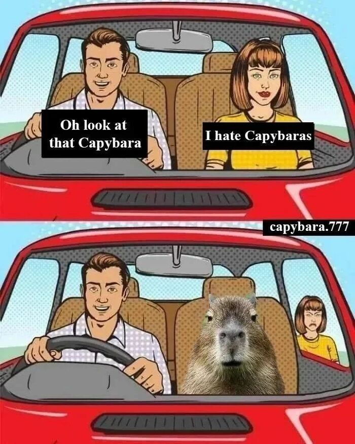 39 Memes Shared By This Page That Show How Cute And Relatable Capybaras Are