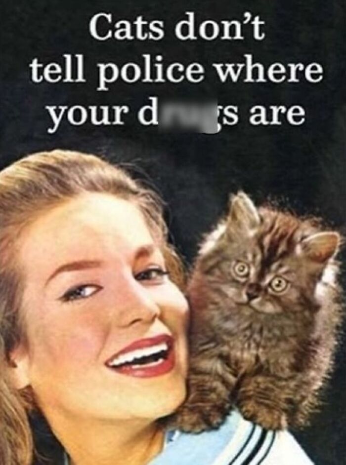 This Instagram Page Combines Retro Photography With Razor-Sharp Modern Humor, And The Results Are Hilarious (28 Pics) This Instagram Page Combines Retro Photography With Razor-Sharp Modern Humor, And The Results Are Hilarious (28 Pics)