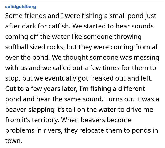 55 Horrifying Tales Of Folks Exploring Creepy Remote Areas And Immediately Regretting It