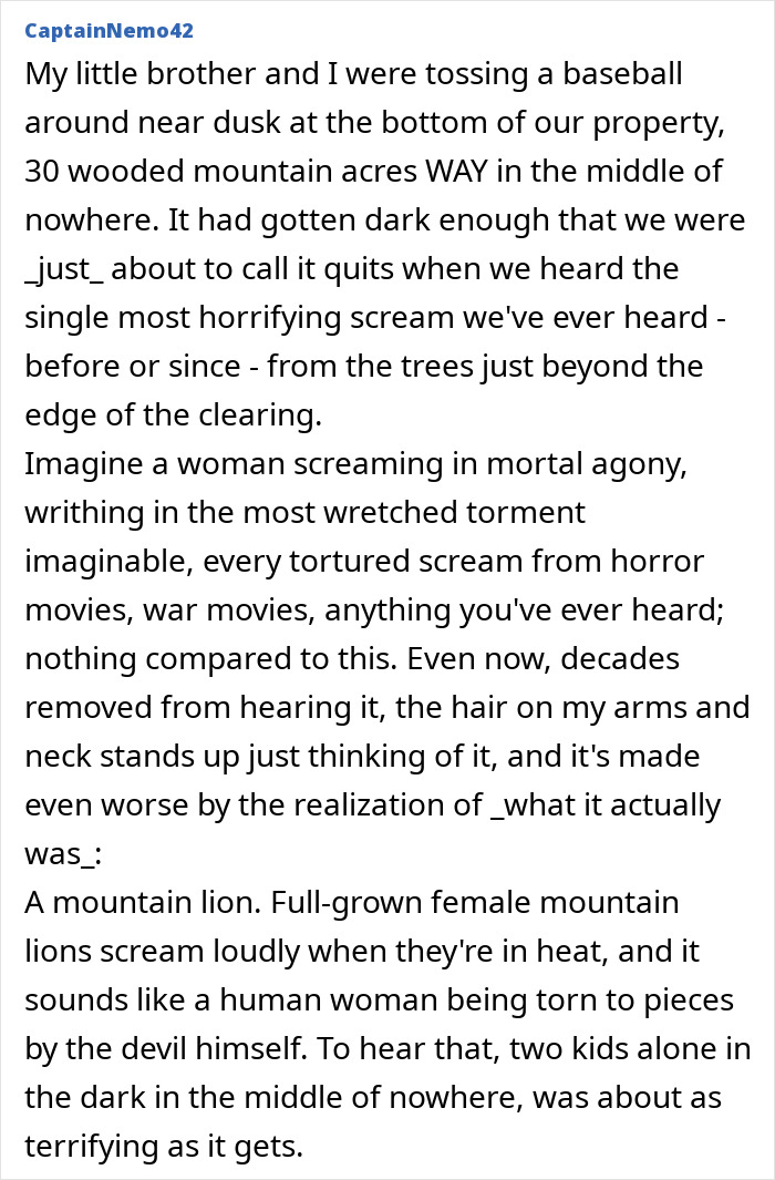 55 Horrifying Tales Of Folks Exploring Creepy Remote Areas And Immediately Regretting It