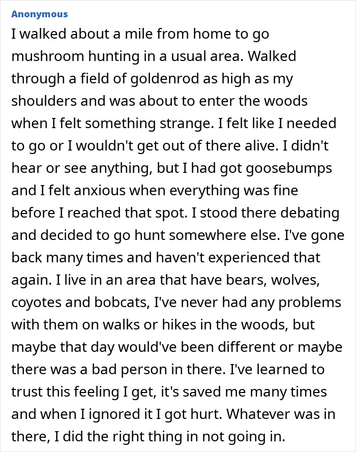 55 Horrifying Tales Of Folks Exploring Creepy Remote Areas And Immediately Regretting It
