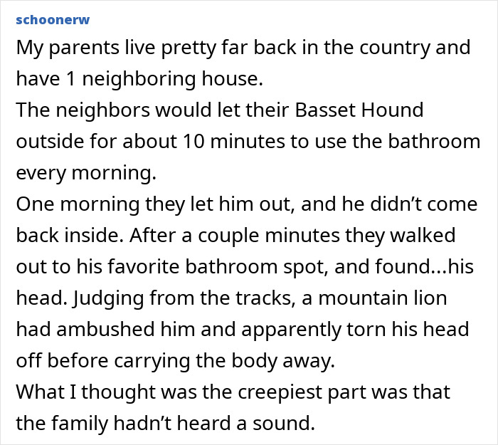 55 Horrifying Tales Of Folks Exploring Creepy Remote Areas And Immediately Regretting It