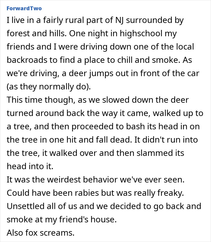 55 Horrifying Tales Of Folks Exploring Creepy Remote Areas And Immediately Regretting It