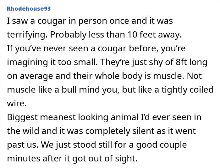 55 Horrifying Tales Of Folks Exploring Creepy Remote Areas And Immediately Regretting It