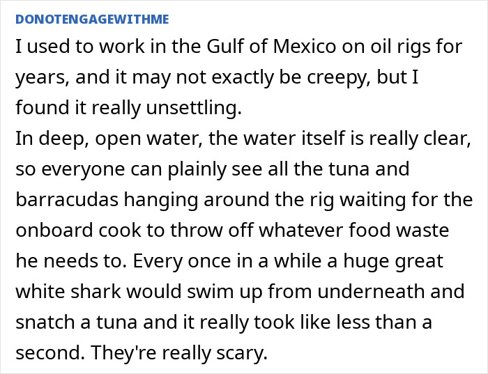 55 Horrifying Tales Of Folks Exploring Creepy Remote Areas And Immediately Regretting It