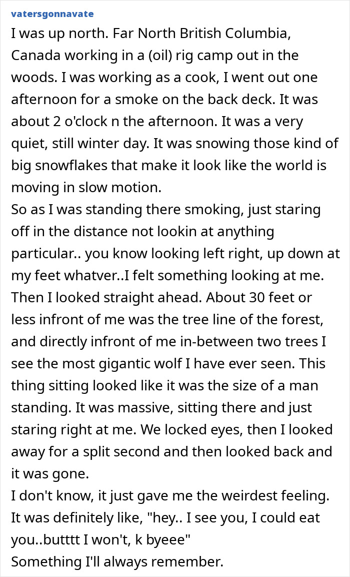 55 Horrifying Tales Of Folks Exploring Creepy Remote Areas And Immediately Regretting It
