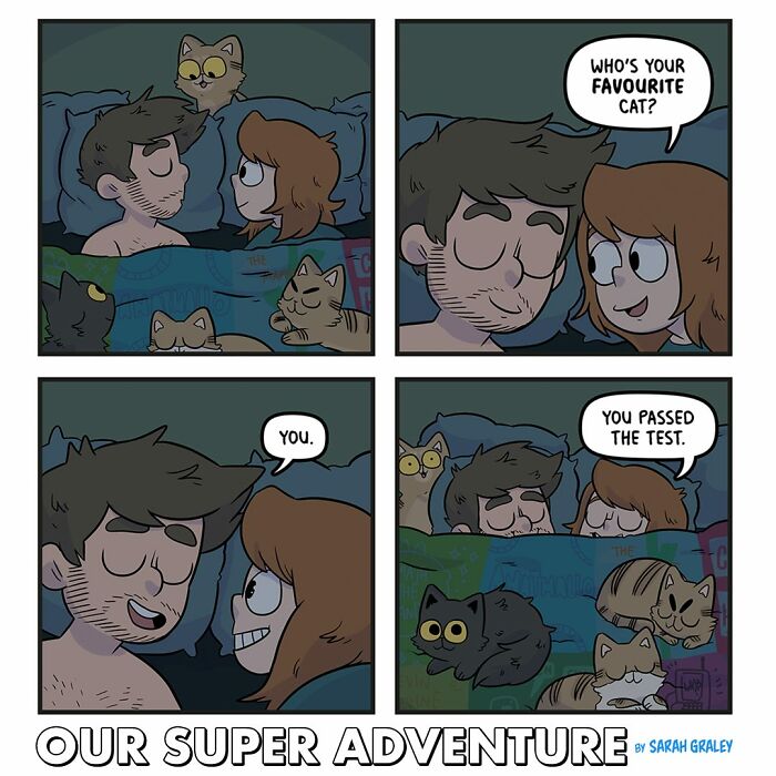 Love And Cats: 50 Hilariously Relatable Comics By Sarah Graley, Inspired By Real-Life Moments (New Pics)