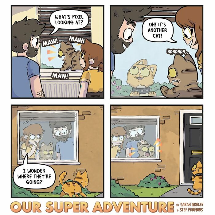 Love And Cats: 50 Hilariously Relatable Comics By Sarah Graley, Inspired By Real-Life Moments (New Pics)