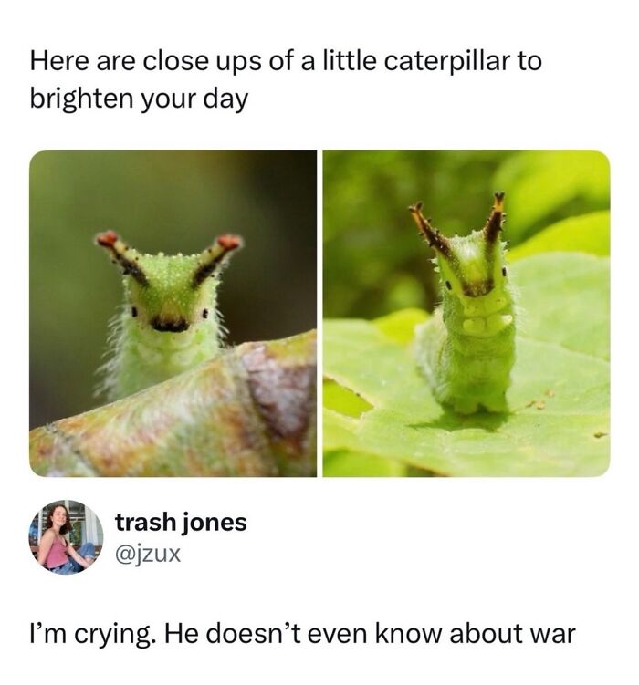 54 Posts Shared By This Community That Perfectly Balance Humor And Relatability