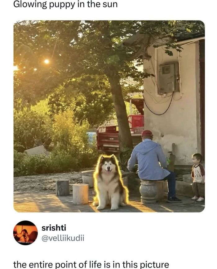 54 Posts Shared By This Community That Perfectly Balance Humor And Relatability