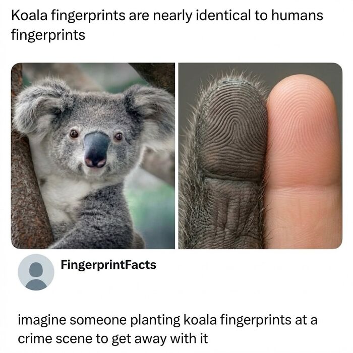 54 Posts Shared By This Community That Perfectly Balance Humor And Relatability