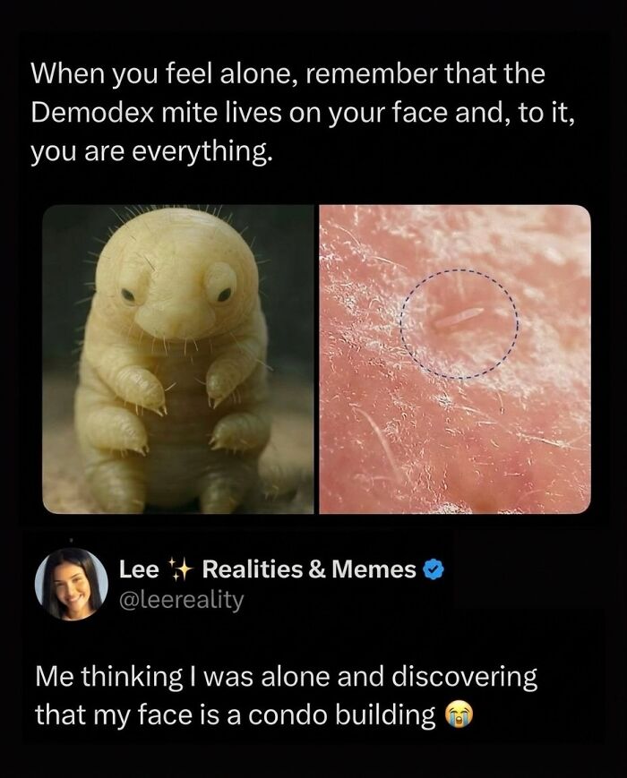 54 Posts Shared By This Community That Perfectly Balance Humor And Relatability
