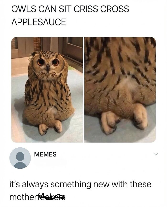 54 Posts Shared By This Community That Perfectly Balance Humor And Relatability