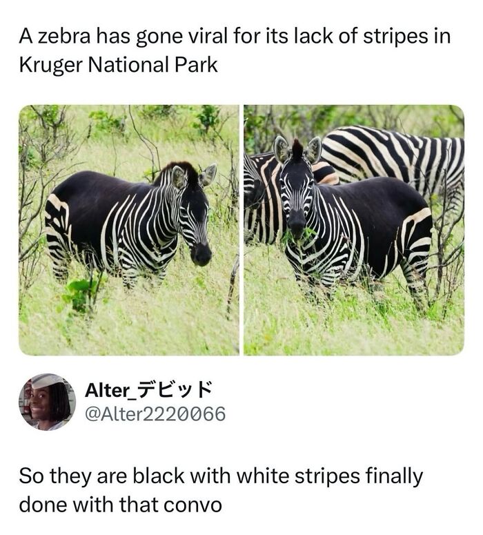 54 Posts Shared By This Community That Perfectly Balance Humor And Relatability
