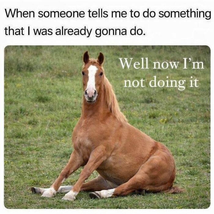 54 Posts Shared By This Community That Perfectly Balance Humor And Relatability