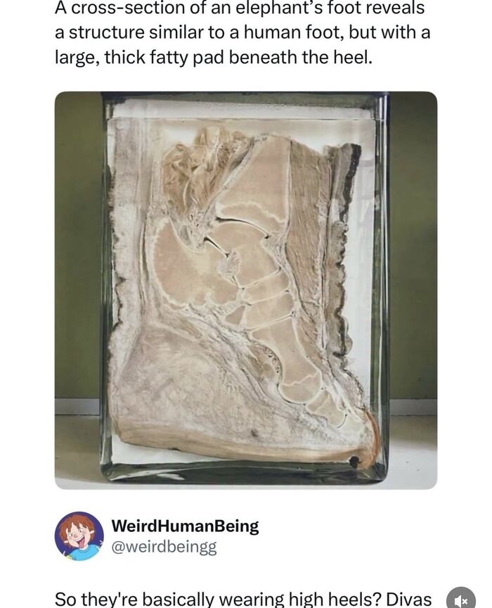 54 Posts Shared By This Community That Perfectly Balance Humor And Relatability