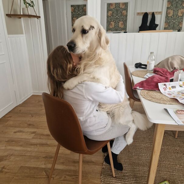 This Dog Owner Turned His Golden Retriever’s Favorite Little Habits Into 13 Adorable Pixel Animations This Dog Owner Turned His Golden Retriever’s Favorite Little Habits Into 13 Adorable Pixel Animations