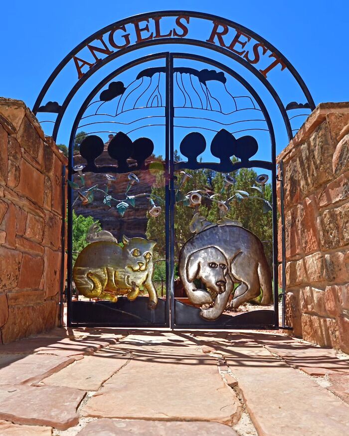 This Photographer Explored Pet Cemeteries Worldwide, Capturing 23 Touching Images Of Pet Graves (New Pics) This Photographer Explored Pet Cemeteries Worldwide, Capturing 23 Touching Images Of Pet Graves (New Pics)
