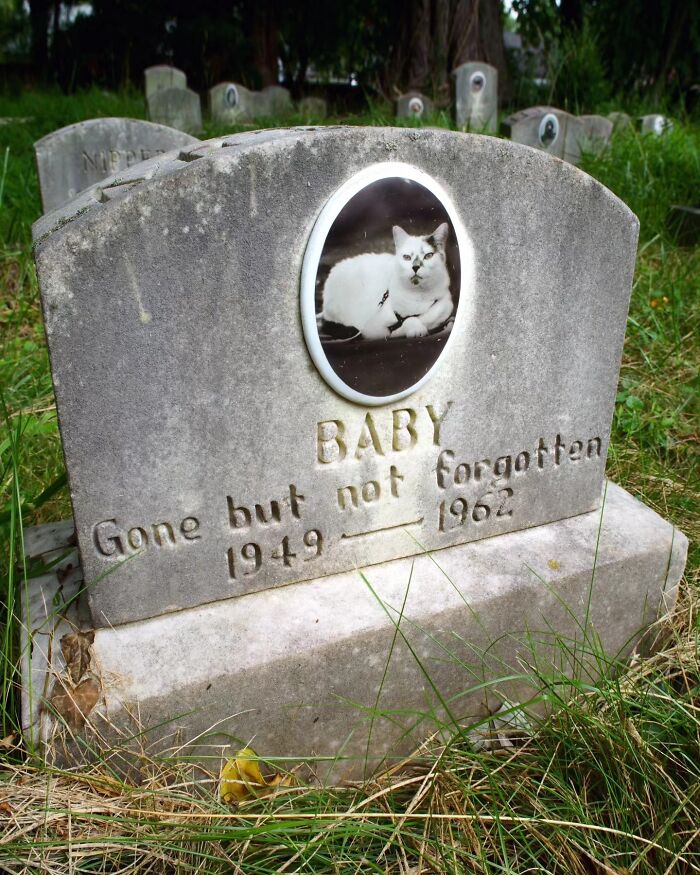 This Photographer Explored Pet Cemeteries Worldwide, Capturing 23 Touching Images Of Pet Graves (New Pics) This Photographer Explored Pet Cemeteries Worldwide, Capturing 23 Touching Images Of Pet Graves (New Pics)