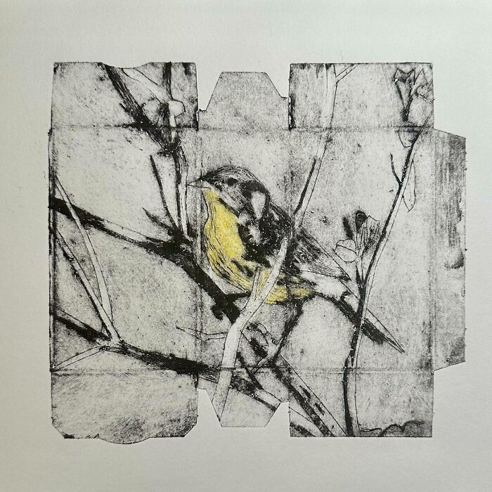 This Artist Creates Stunning Collagraph Prints Using Recycled Cardboard And Found Materials (25 Pics)