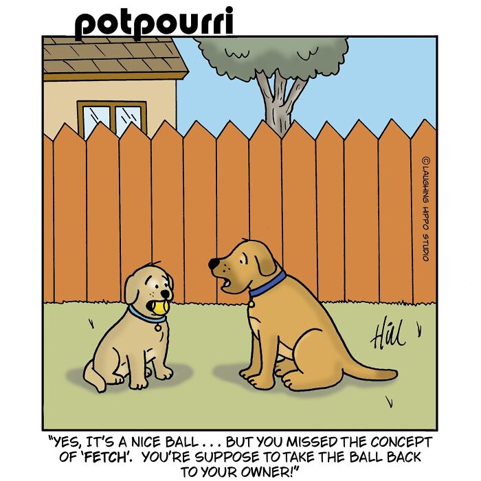 This Artist&rsquo;s 30 Comics That Prove Dogs Are Adorable, Chaotic, And Slightly Unhinged Roommates