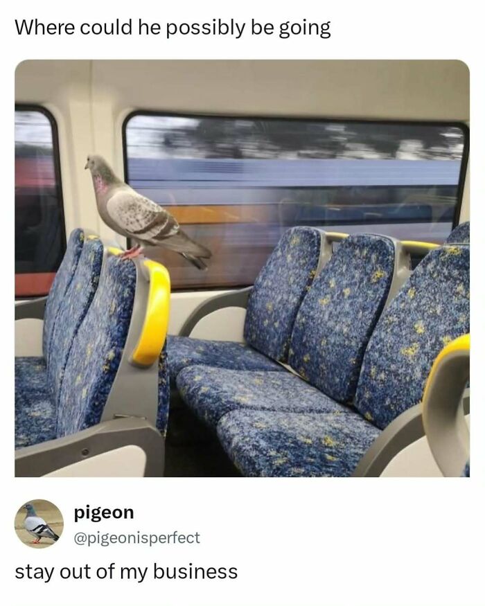 These 65 Memes Can Help You Fight Boredom During The Dullest Moments of Your Day