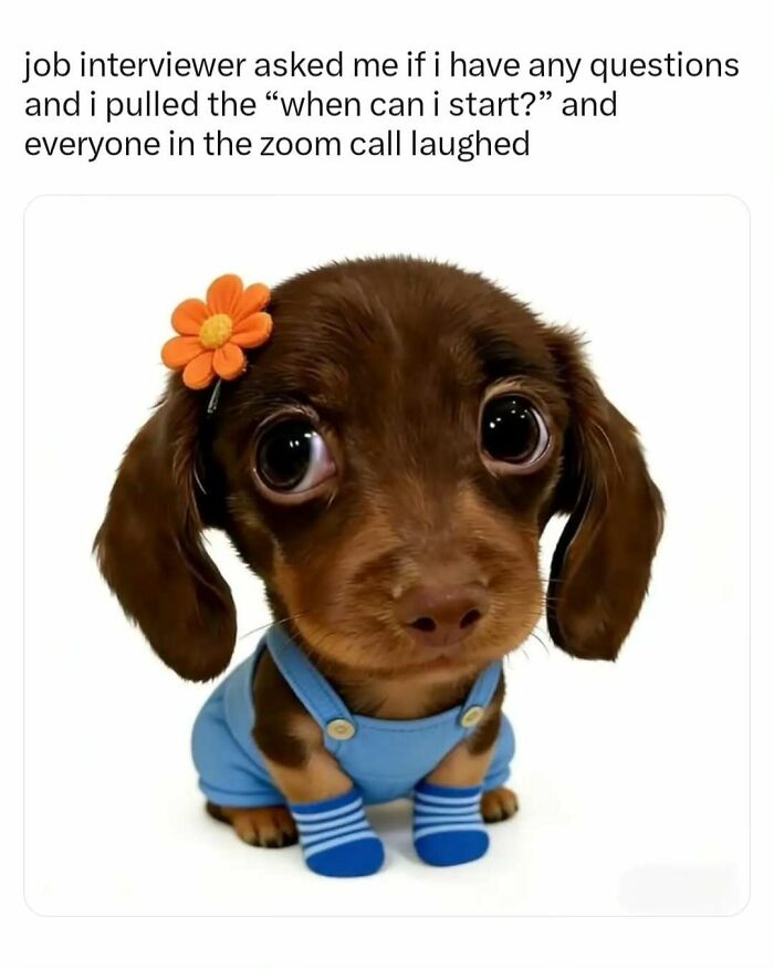 These 65 Memes Can Help You Fight Boredom During The Dullest Moments of Your Day