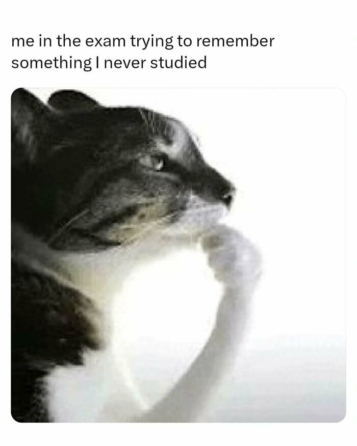 These 65 Memes Can Help You Fight Boredom During The Dullest Moments of Your Day