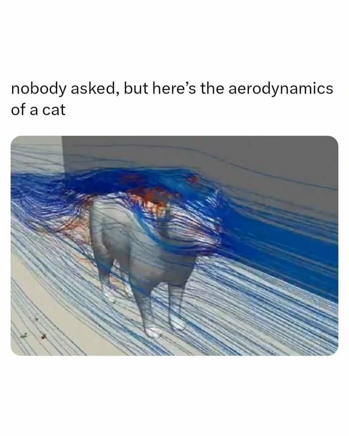 These 65 Memes Can Help You Fight Boredom During The Dullest Moments of Your Day