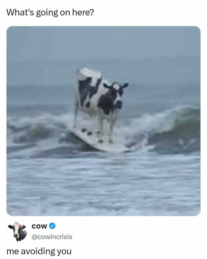 These 65 Memes Can Help You Fight Boredom During The Dullest Moments of Your Day