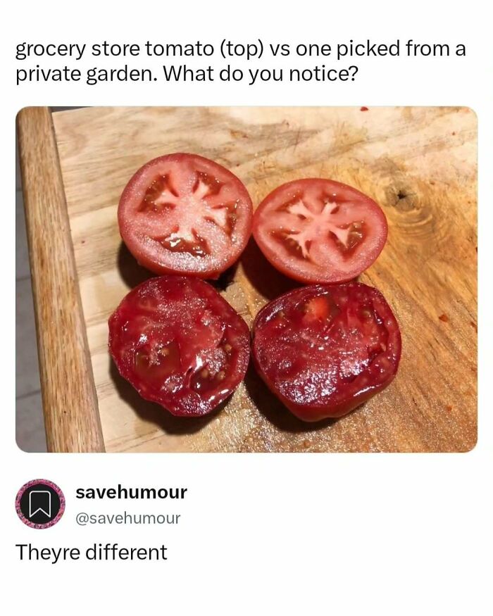 These 65 Memes Can Help You Fight Boredom During The Dullest Moments of Your Day