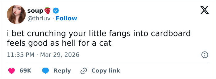 55 Funny Tweets That Confirm Cats Are Equal Parts Adorable, Weird, And Emotionally Manipulative