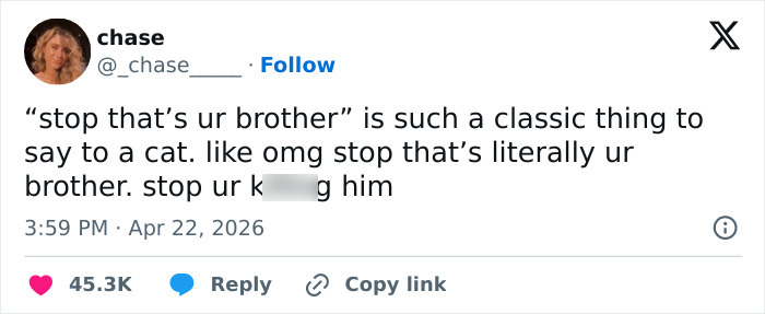 55 Funny Tweets That Confirm Cats Are Equal Parts Adorable, Weird, And Emotionally Manipulative