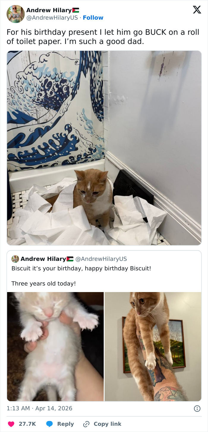55 Funny Tweets That Confirm Cats Are Equal Parts Adorable, Weird, And Emotionally Manipulative