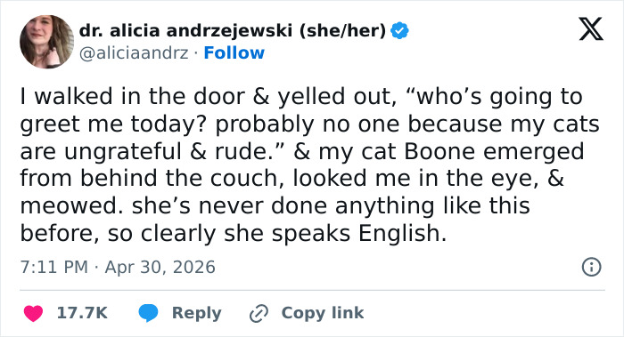 55 Funny Tweets That Confirm Cats Are Equal Parts Adorable, Weird, And Emotionally Manipulative