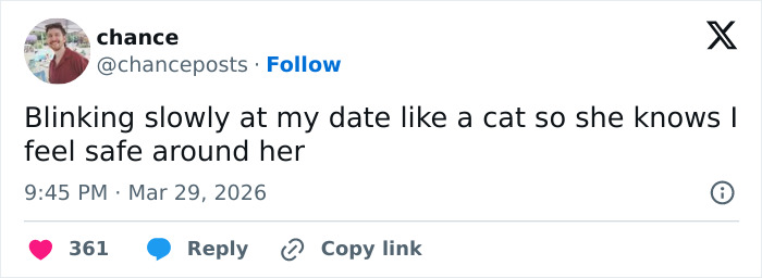 55 Funny Tweets That Confirm Cats Are Equal Parts Adorable, Weird, And Emotionally Manipulative
