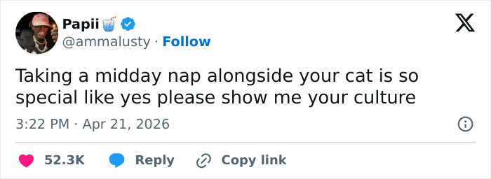 55 Funny Tweets That Confirm Cats Are Equal Parts Adorable, Weird, And Emotionally Manipulative