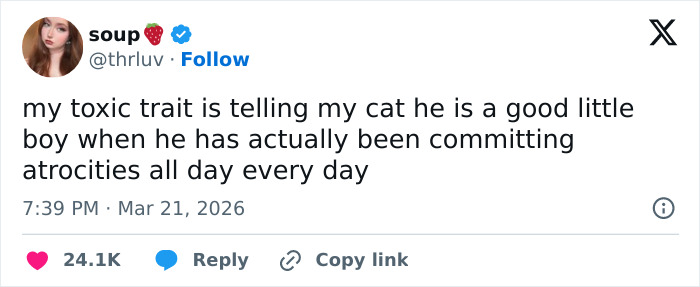 55 Funny Tweets That Confirm Cats Are Equal Parts Adorable, Weird, And Emotionally Manipulative