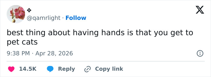 55 Funny Tweets That Confirm Cats Are Equal Parts Adorable, Weird, And Emotionally Manipulative