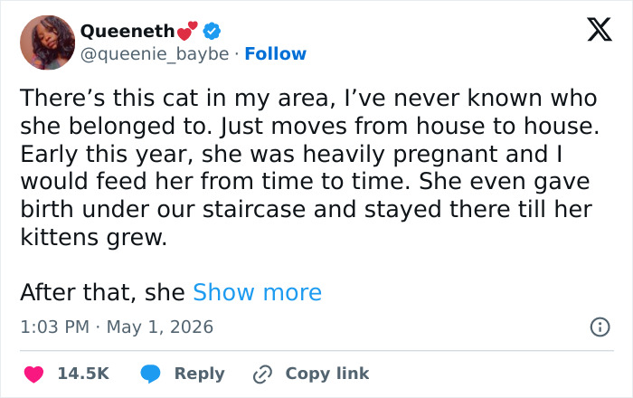 55 Funny Tweets That Confirm Cats Are Equal Parts Adorable, Weird, And Emotionally Manipulative