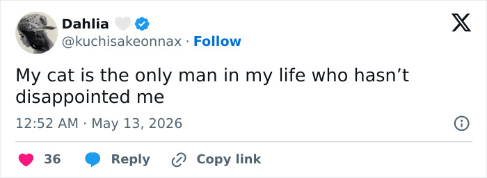 55 Funny Tweets That Confirm Cats Are Equal Parts Adorable, Weird, And Emotionally Manipulative